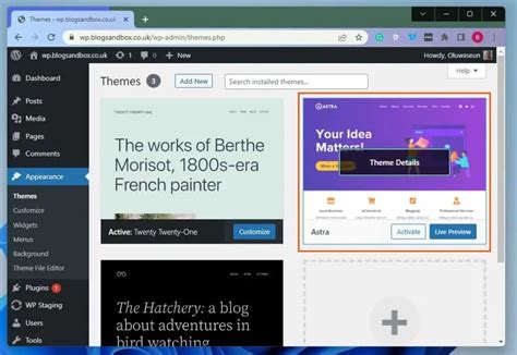 Remove Theme From WordPress Through WordPress Backend