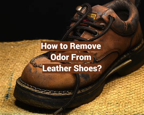 Removing Odor from Leather