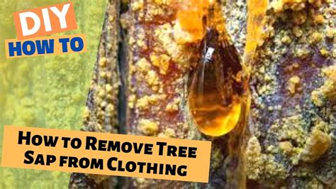 Removing Pine Sap