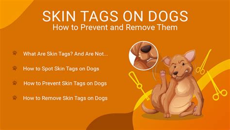 10 Effective Ways to Remove Skin Tags on Dogs