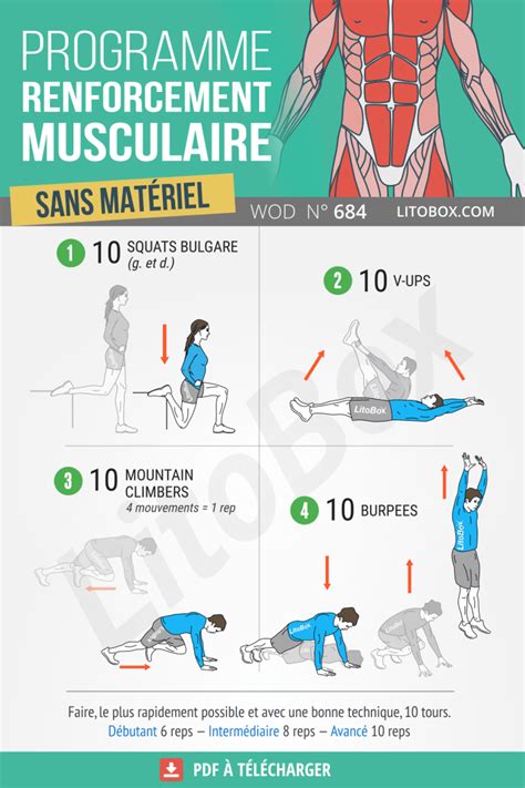 Renforcement Musculaire