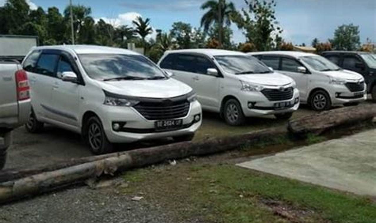 Temukan Rahasia Rental Mobil Sorong, Nikmati Perjalanan Tak Terlupakan!