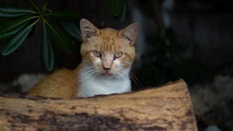 Repairing the Damage and Preventing Re-entry