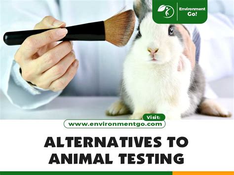 Replacement Alternatives to Animal Testing