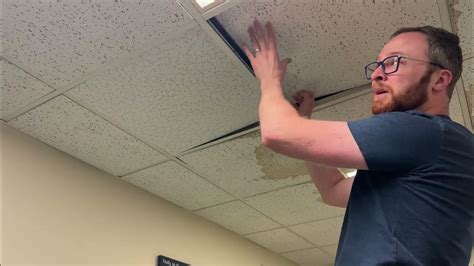 Replacement Drop Ceiling Tiles