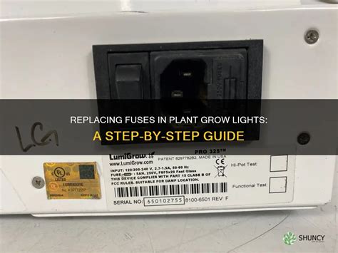 Replacing Fuses A Step-by-Step Process