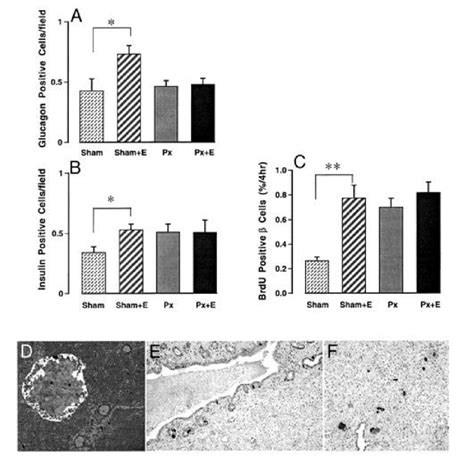 Replication vs. Neogenesis