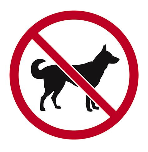 Reporting Loose Dogs vs. Vicious Dogs