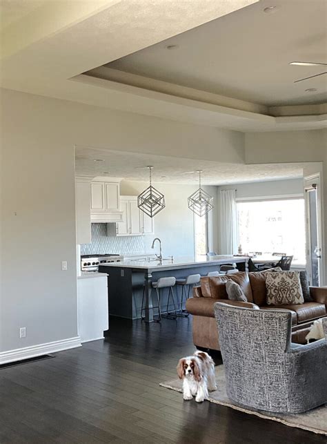 Get a Chic Look with Repose Gray Paint: Tips & Tricks