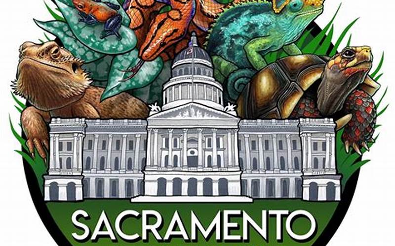 Discover the Thrilling World of Reptiles at the Sacramento Reptile Show!