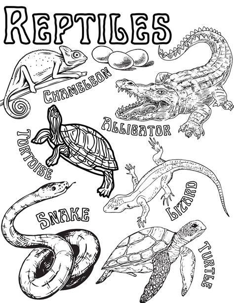 Reptiles Coloring Pages