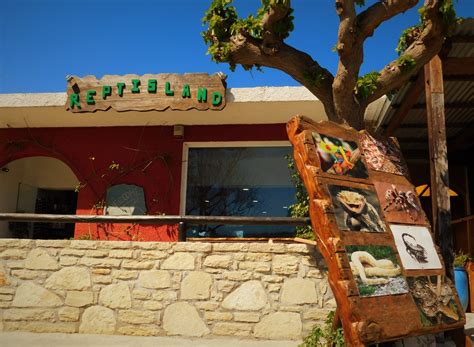 Reptisland Crete