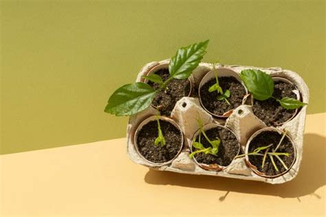Repurposing