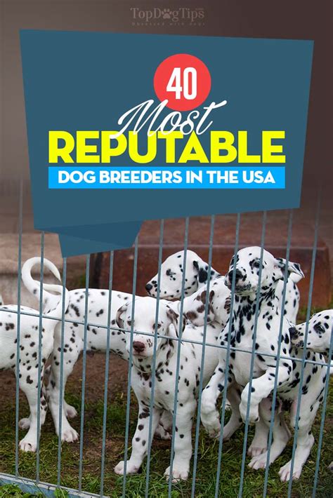 Reputable Breeders Your Best Bet