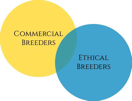Reputable Breeders and Ethical Sourcing