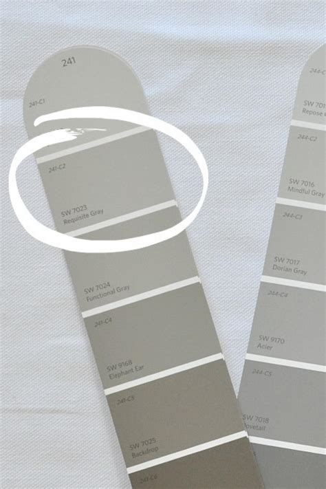 Stylishly timeless: Requisite Gray for interior design