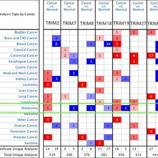Research Different Trims
