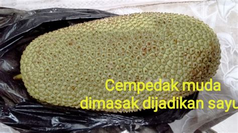 Resepi Masak Sayur Cempedak