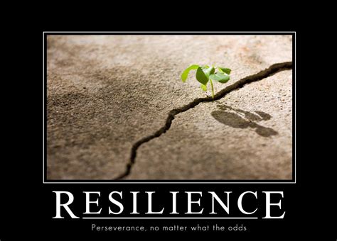 Resilience and Motivation