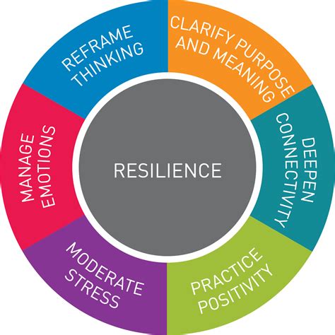 Resilience in Motivation Cycle