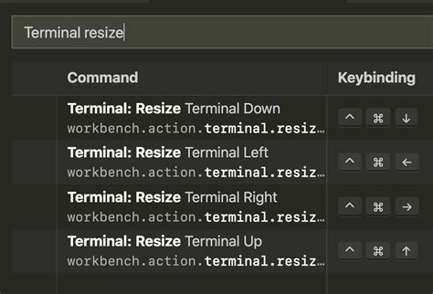 Resize Terminal in VSCode