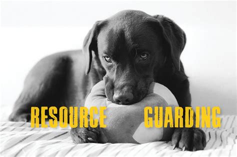Resource Guarding Prevention