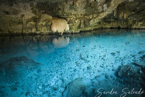 Respect Cenote Environment