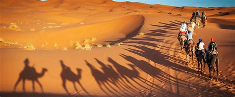 Respect Desert Environment