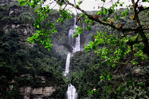 Respect Environment La Chorrera