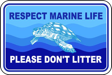 Respect for Marine Life