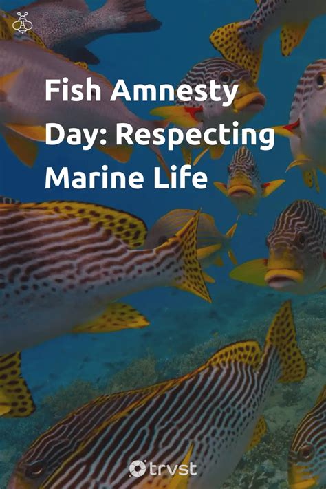 Respecting Marine Environment