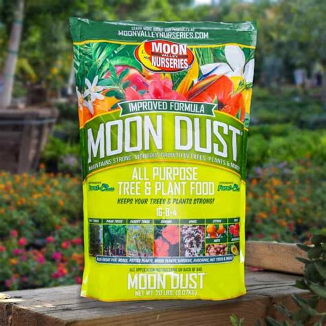 Respecting the Environment in Moon Valley