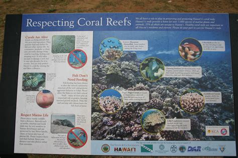 Respecting the reef