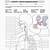 Respiratory System Blank Worksheet