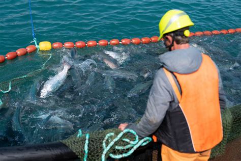 Responsible Fishing Practices
