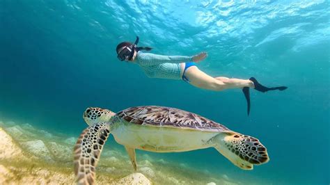 Responsible Turtle Tourism