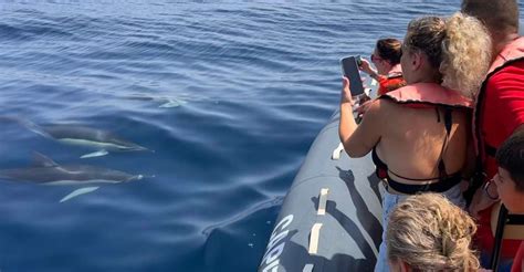 Responsible dolphin watching