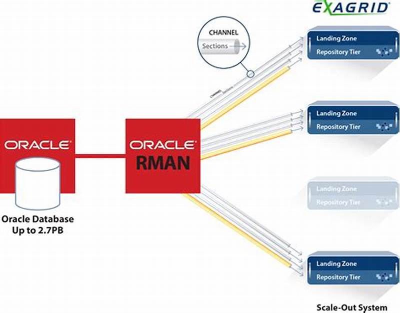 Restore Oracle Database Using Rman Catalog