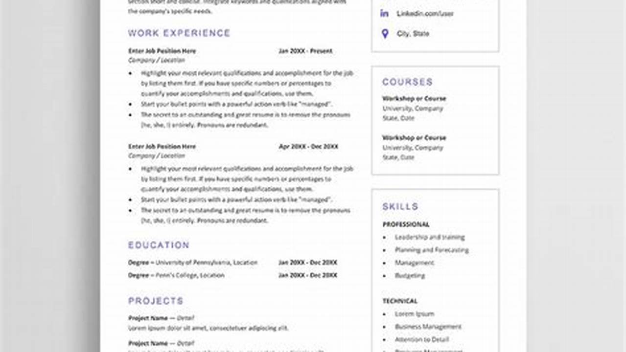 Resume Examples 2024 Pdf Editable