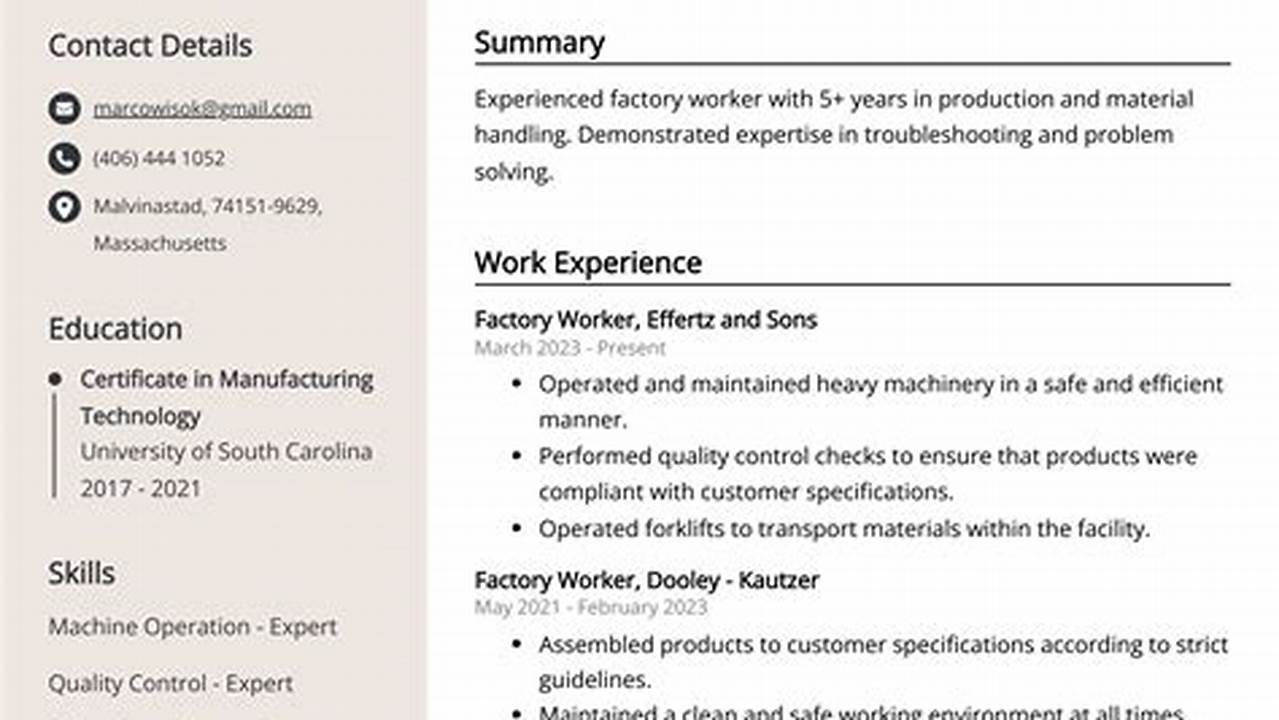 Resume Examples 2024 Simple Life