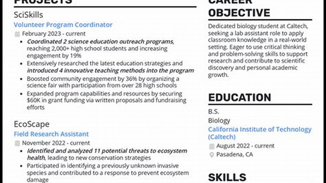 Resume Examples 2024 Students Examples