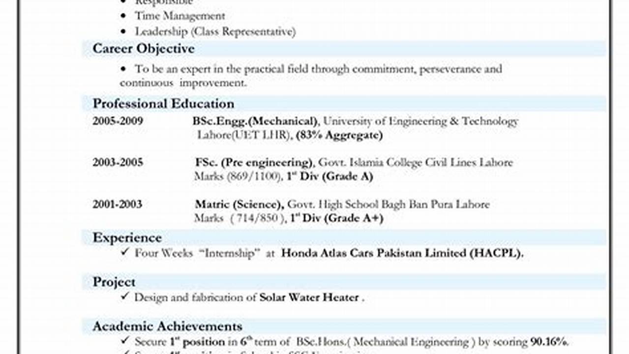 Resume Format 2024 Examples For Freshers