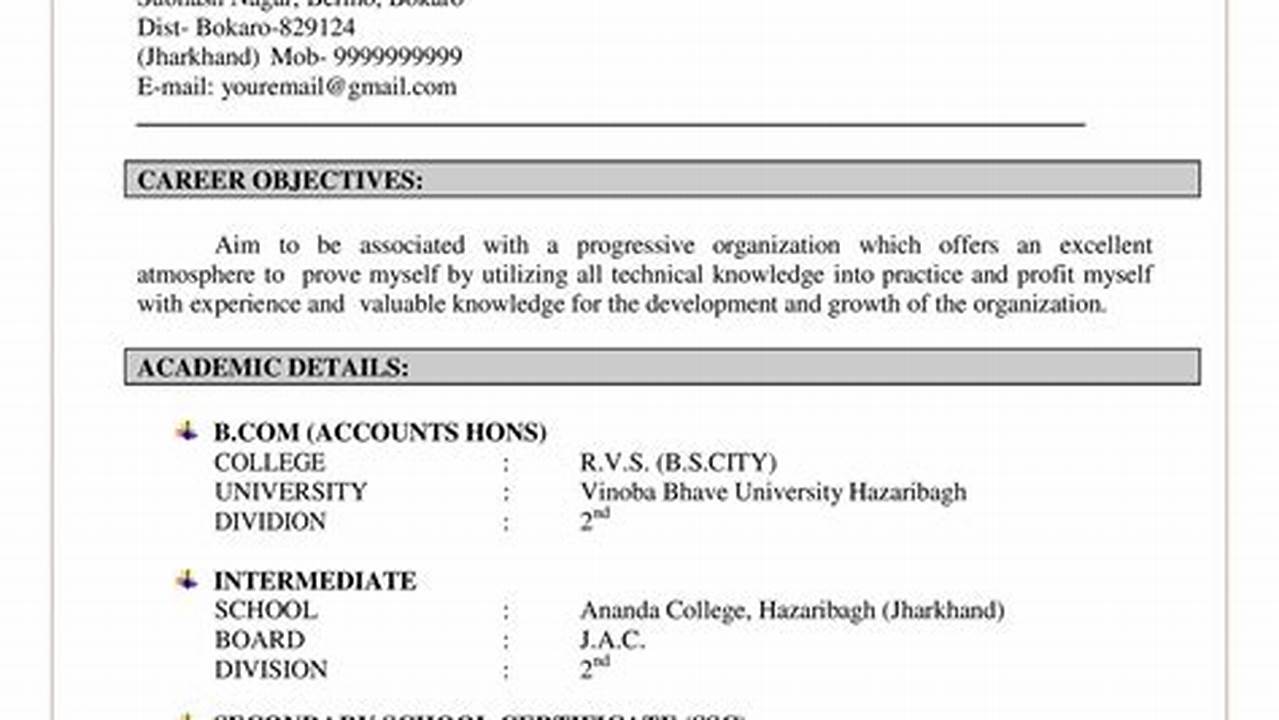Resume Format 2024 Word File Download