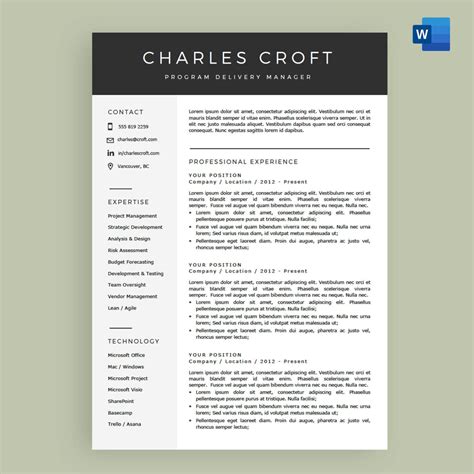 Resume Template On Word 2007