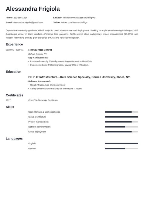 Resume Objective Template Examples