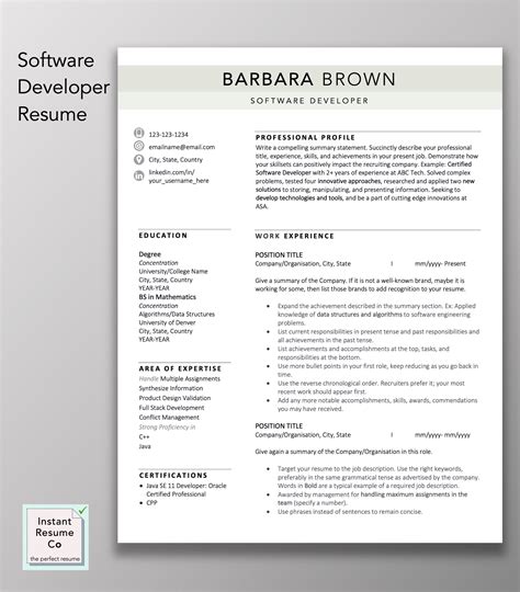 Resume Template Word Software Developer