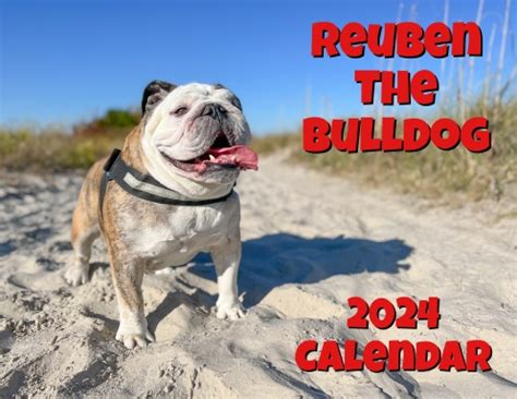 Reuben The Bulldog Calendar 2024