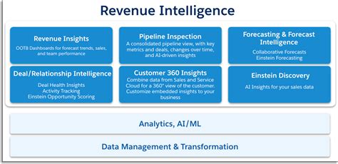Unleashing the Power of Revenue Intelligence with Salesforce: Elevating Your Business to New Heights