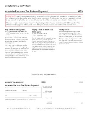 Revenue State Mn Us Payment