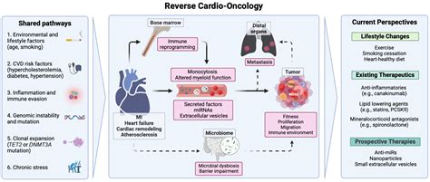 Reverse Cardiovascular Disease